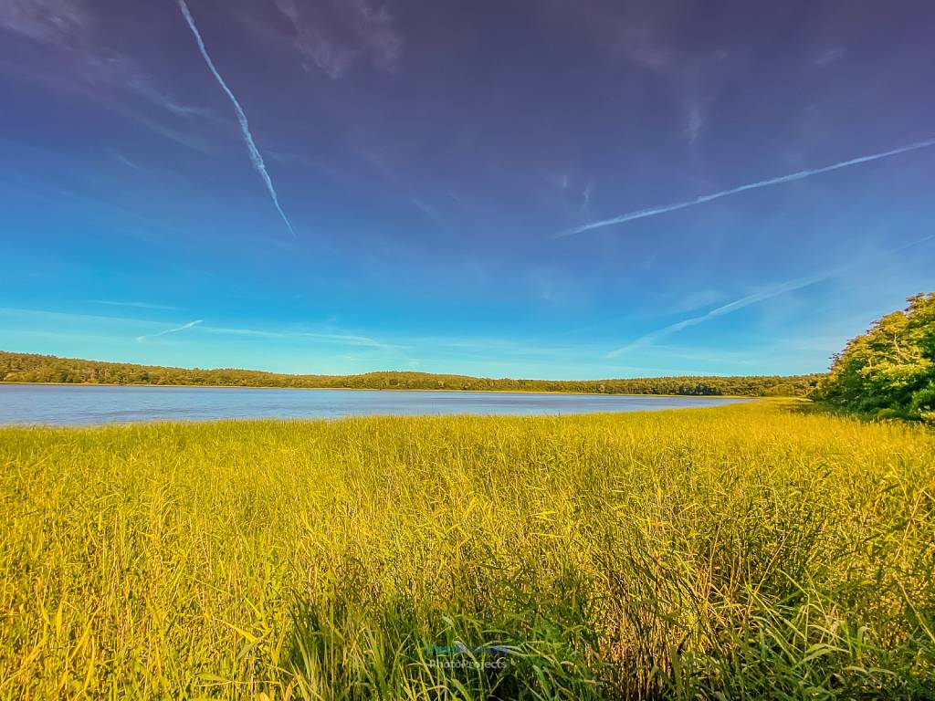 Müritz