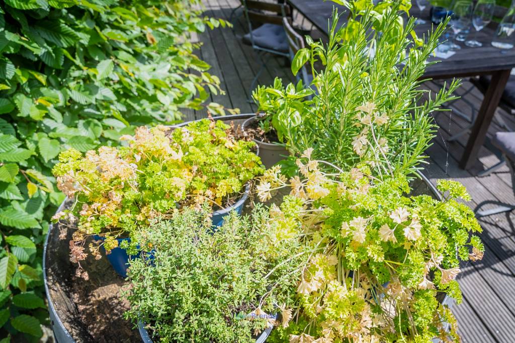 Franz Keller Falkenhof