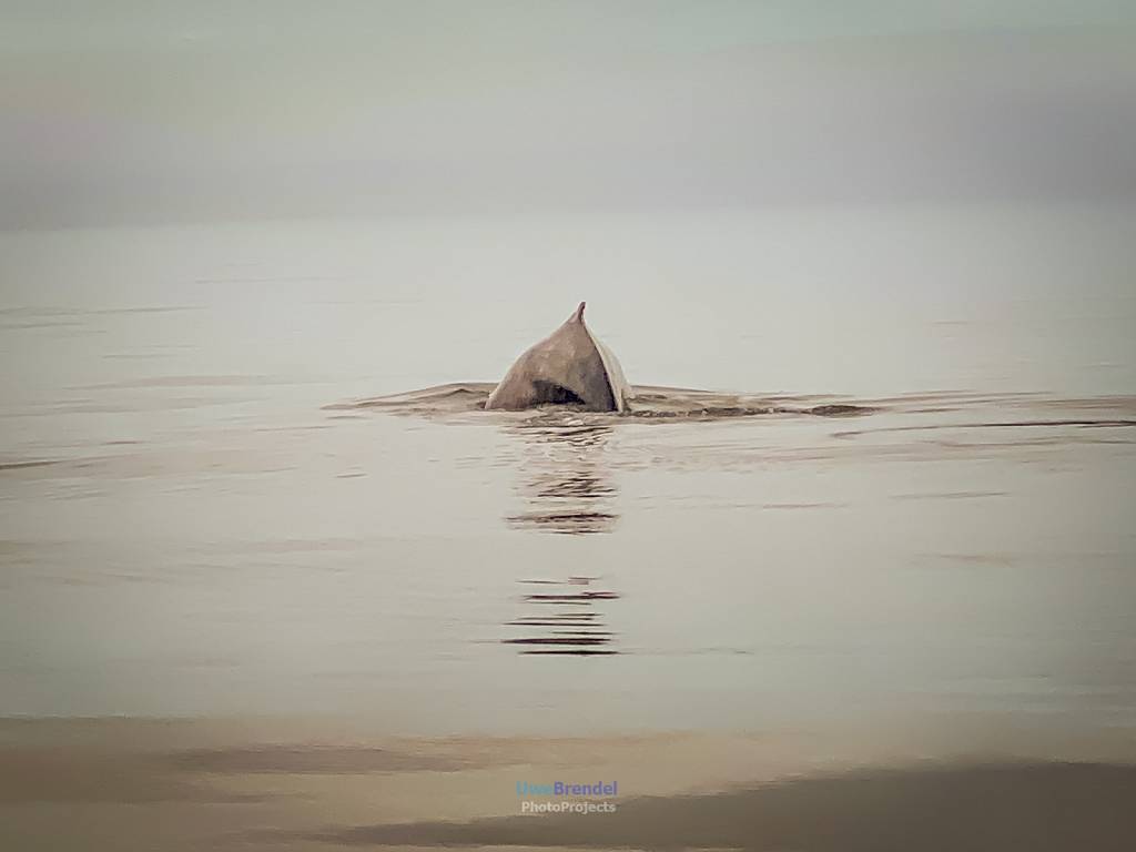 unbenannt-0052.jpg